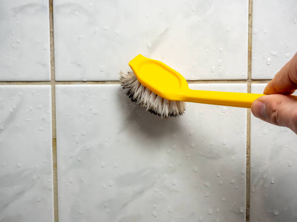Best Water Damage Restoration  in Creve Coeur, IL