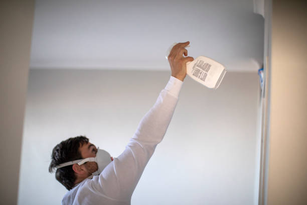 Best Mold Cleaning Services  in Creve Coeur, IL