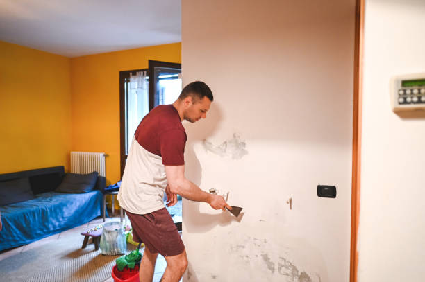 Attic Mold Removal in Creve Coeur, IL